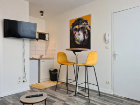 STUDIO d'HENRI centre ville d'AGEN